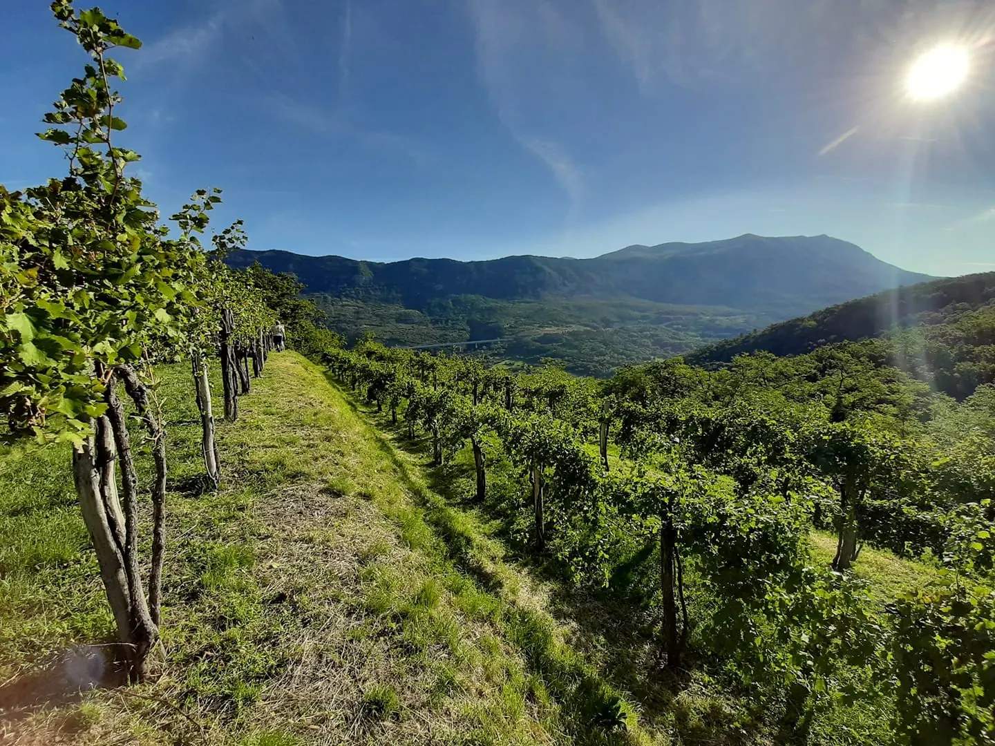 Pogled na Vipavsko dolino in vznožje Nanosa